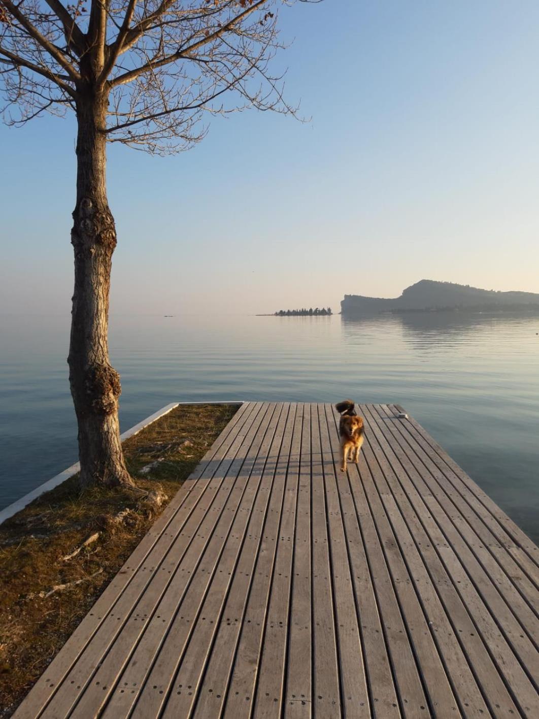 Casa Vacanze Gardiolina San Felice del Benaco Buitenkant foto
